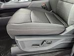 2025 Ford F-150 SuperCrew Cab 4WD Pickup for sale #25T1193 - photo 14