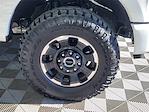 Used 2025 Ford F-250 Platinum Crew Cab for sale #AN45726 - photo 9