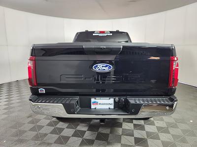 2024 Ford F-150 Regular Cab 4WD Pickup for sale #AN45990 - photo 1
