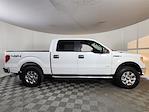 Used 2014 Ford F-150 XLT SuperCrew Cab for sale #JMP45735 - photo 2