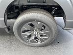 New 2025 Ford F-150 STX Super Cab for sale #T025210 - photo 8