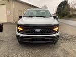 2025 Ford F-150 Regular Cab 4x4 Pickup for sale #T025215 - photo 3