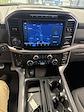 New 2024 Ford F-150 XLT SuperCrew Cab for sale #F01181 - photo 10