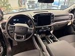 New 2024 Ford F-150 XLT SuperCrew Cab for sale #F01181 - photo 13