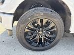 New 2025 Ford F-150 XLT SuperCrew Cab 4WD Pickup for sale #F01798 - photo 17