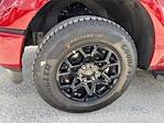 New 2025 Ford F-150 XLT SuperCrew Cab 4WD Pickup for sale #F01822 - photo 17