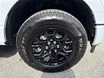 New 2025 Ford F-150 XLT SuperCrew Cab for sale #F01859 - photo 17