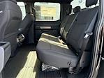 New 2025 Ford F-150 STX SuperCrew Cab 4WD Pickup for sale #F01861 - photo 6