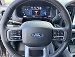 New 2025 Ford F-150 XLT SuperCrew Cab 4WD Pickup for sale #F02000 - photo 10
