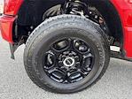 New 2026 Ford F-250 XL Crew Cab 4WD Pickup for sale #F02098 - photo 17