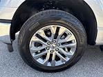 New 2025 Ford F-150 XLT SuperCrew Cab 4WD Pickup for sale #F02153 - photo 16