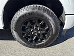 New 2025 Ford F-150 XLT SuperCrew Cab 4WD Pickup for sale #F02233 - photo 17