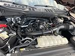 Used 2024 Ford F-150 STX SuperCrew Cab for sale #F02308A - photo 5