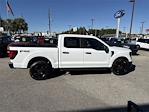 New 2025 Ford F-150 STX SuperCrew Cab 4WD Pickup for sale #F02336 - photo 14