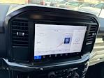 New 2025 Ford F-150 STX SuperCrew Cab 4WD Pickup for sale #F02352 - photo 8