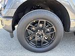 New 2025 Ford F-150 STX SuperCrew Cab for sale #F02413 - photo 17