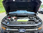 New 2025 Ford F-150 XLT SuperCrew Cab for sale #F55071 - photo 44