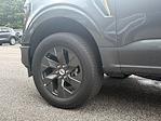 New 2025 Ford F-150 STX SuperCrew Cab for sale #F55906 - photo 39