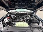 2025 Ford F-150 SuperCrew Cab 4x4 Pickup for sale #F55915 - photo 41