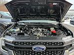 New 2025 Ford Ranger XL SuperCrew Cab for sale #F56733 - photo 12