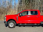Used 2024 Ford F-250 XL Crew Cab for sale #FU6621F - photo 11