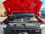 Used 2024 Ford F-250 XL Crew Cab for sale #FU6621F - photo 16