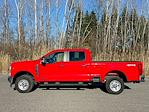 Used 2024 Ford F-250 XL Crew Cab for sale #FU6621F - photo 9