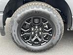 2025 Ford F-150 SuperCrew Cab 4WD Pickup for sale #25FS179 - photo 47