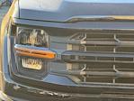 2025 Ford F-150 SuperCrew Cab 4WD Pickup for sale #25FS190 - photo 16