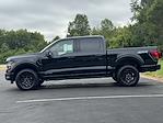 New 2025 Ford F-150 XLT SuperCrew Cab for sale #25FS191 - photo 8