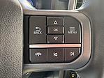 New 2025 Ford F-150 XLT SuperCrew Cab for sale #25FS219 - photo 38