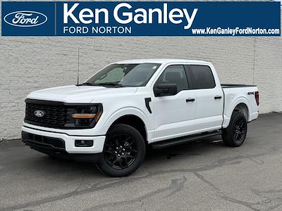 New 2025 Ford F-150 STX SuperCrew Cab for sale #25FS244 - photo 1
