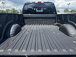 New 2025 Ford F-350 Platinum Crew Cab for sale #25SD169 - photo 49