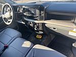 New 2025 Ford F-550 Regular Cab Cab Chassis for sale #25SD193 - photo 15