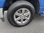 2024 Ford F-150 SuperCrew Cab 4WD Pickup for sale #36354 - photo 10