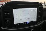New 2025 Ford F-150 XLT SuperCrew Cab for sale #36391 - photo 34