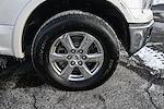 2019 Ford F-150 SuperCrew Cab 4WD Pickup for sale #36754B - photo 15