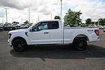 New 2025 Ford F-150 STX Super Cab for sale #36771 - photo 6