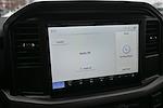 New 2025 Ford F-150 XL Regular Cab for sale #36819 - photo 5