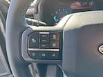 New 2025 Ford F-150 XLT SuperCrew Cab for sale #36875 - photo 19