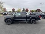 New 2025 Ford F-150 STX Super Cab for sale #36878 - photo 6