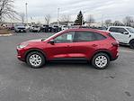 New 2026 Ford Escape Active for sale #36932 - photo 6