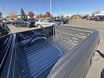 New 2025 Ford F-150 XLT SuperCrew Cab for sale #36941 - photo 12