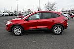 New 2026 Ford Escape Active for sale #36948 - photo 6
