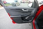 New 2026 Ford Escape ST-Line for sale #36986 - photo 15