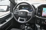 New 2025 Ford F-150 XLT SuperCrew Cab for sale #37044 - photo 24