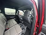 2026 Ford F-150 SuperCrew Cab 4WD Pickup for sale #37113 - photo 13