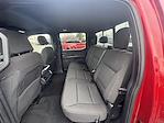 2024 Ford F-150 SuperCrew Cab 4WD Pickup for sale #7682P - photo 13