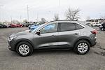 Used 2023 Ford Escape Active for sale #7712P - photo 6