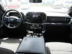 2023 Ford F-150 SuperCrew Cab 4x2 Pickup for sale #PC09031 - photo 8